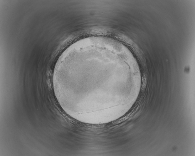 X0000116831202201001291636