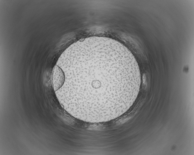 X0000116831203201001291636