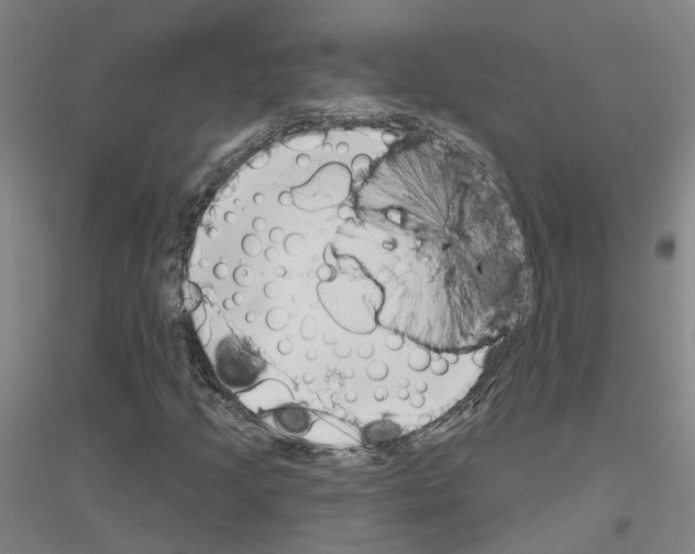 X0000116831205201001291636