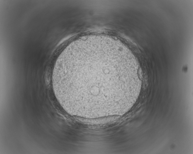 X0000116831206201001291636