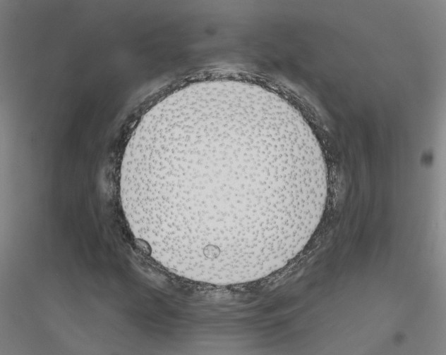 X0000116831207201001291636