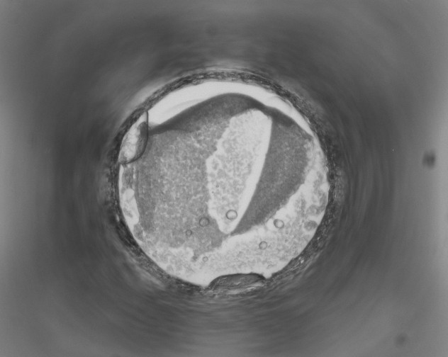 X0000116831208201001291636