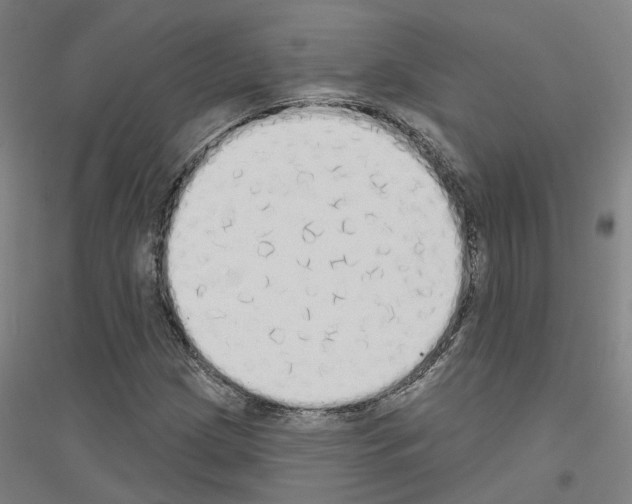 X0000116831209201001291636