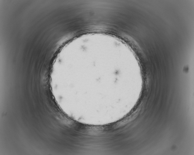 X0000116831210201001291636