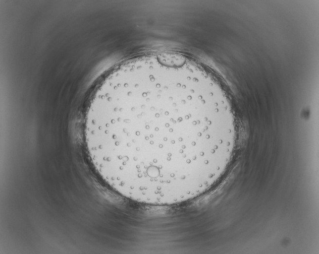 X0000116831211201001291636