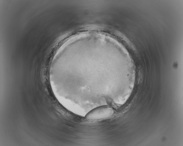 X0000116831213201001291636