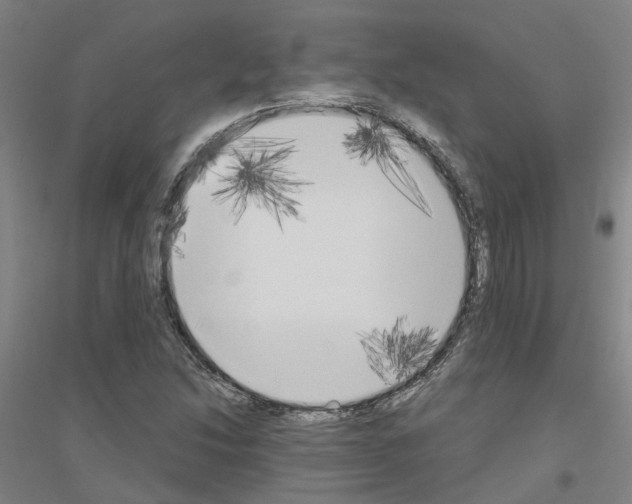 X0000116831214201001291636