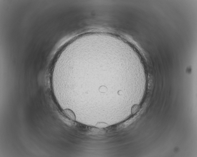 X0000116831215201001291636