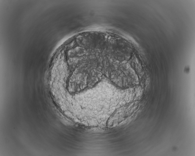 X0000116831216201001291636