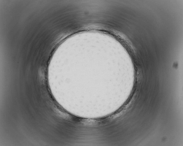 X0000116831217201001291636