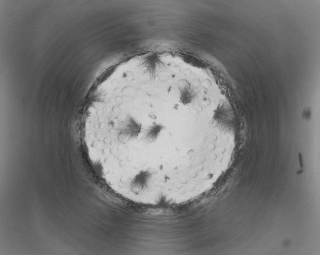 X0000116831218201001291636