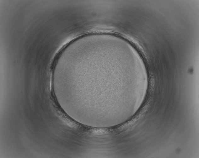 X0000116831219201001291636