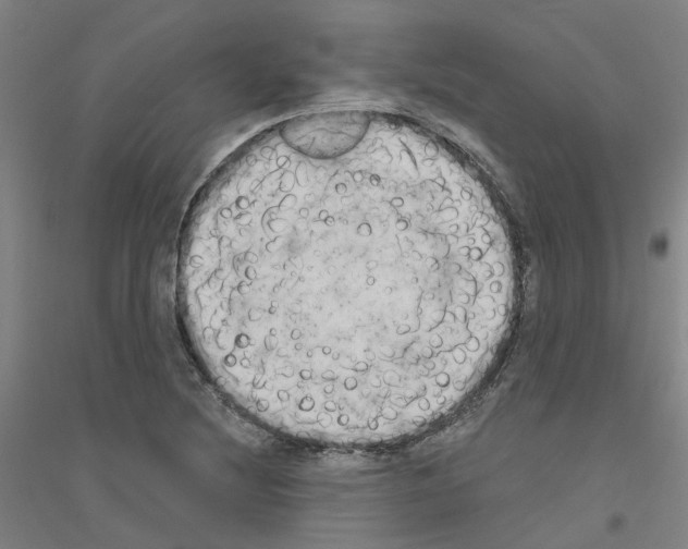 X0000116831220201001291636