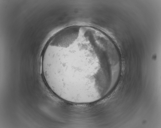 X0000116831223201001291636