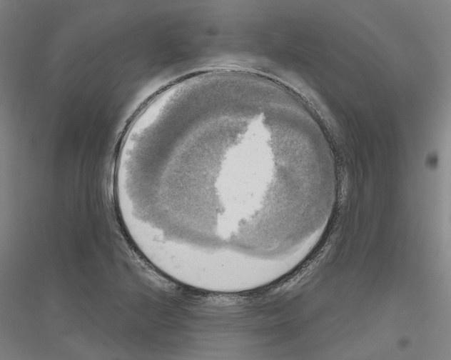 X0000116831224201001291636