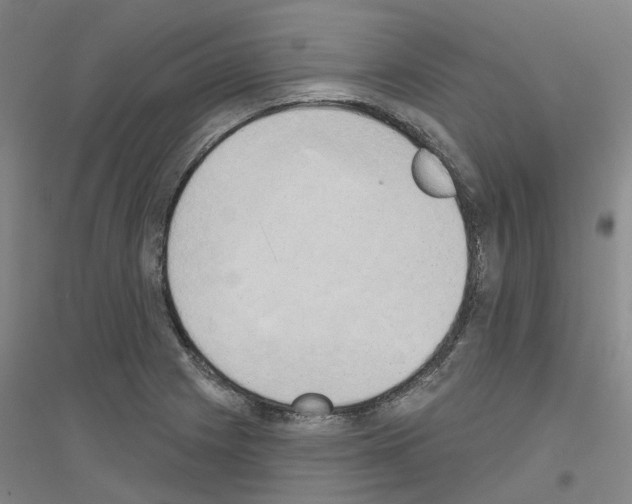 X0000116831225201001291636