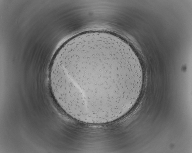 X0000116831226201001291636