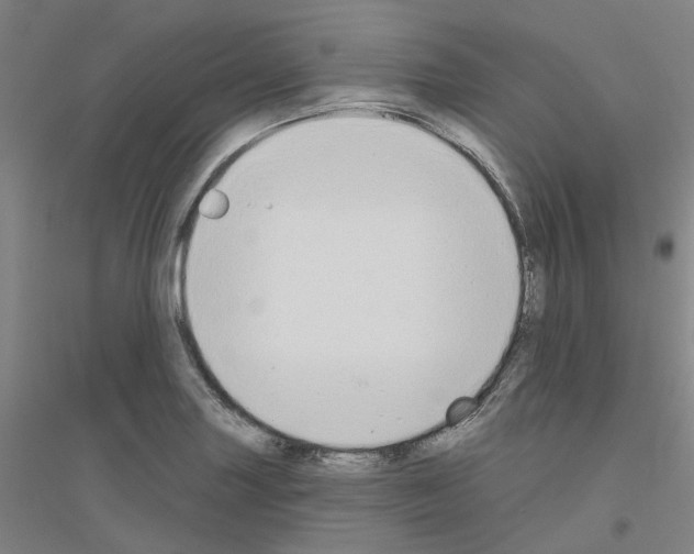 X0000116831227201001291636