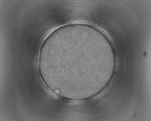 X0000116831228201001291636