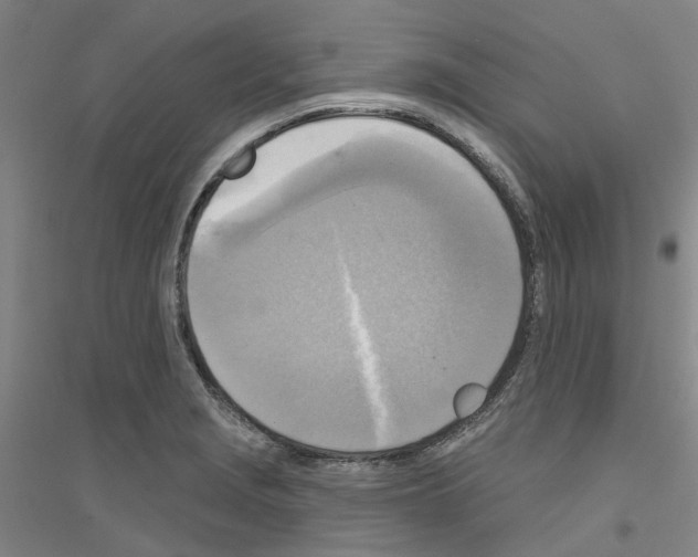 X0000116831229201001291636