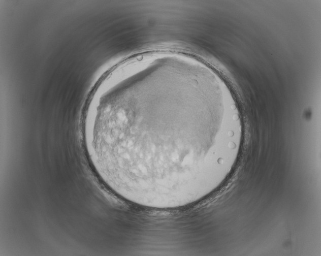 X0000116831230201001291636