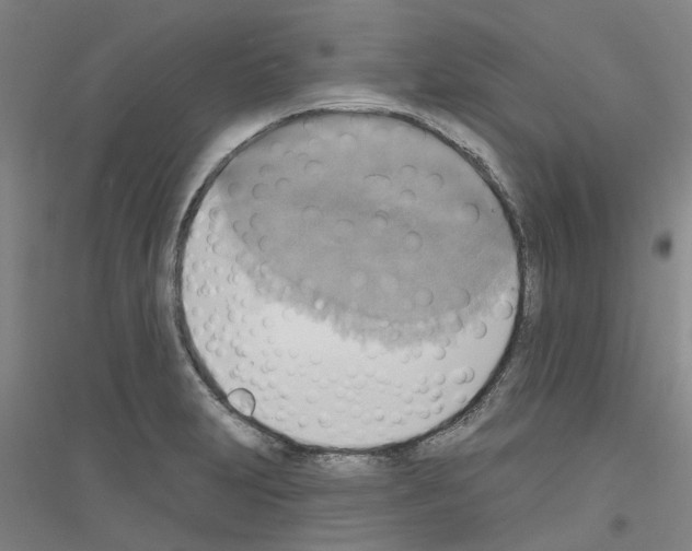 X0000116831231201001291636