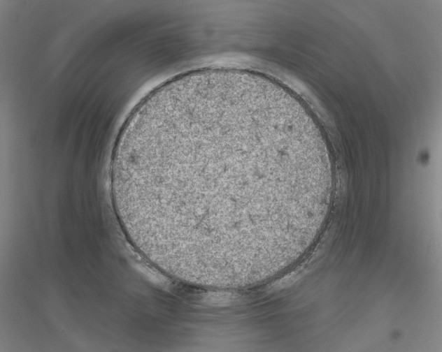 X0000116831232201001291636