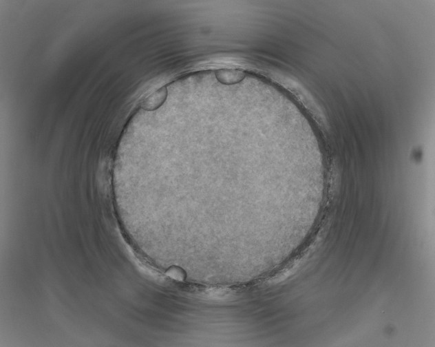 X0000116831233201001291636