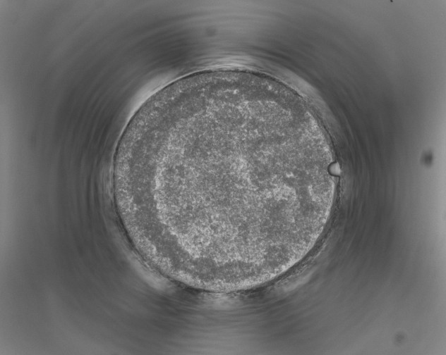 X0000116831234201001291636