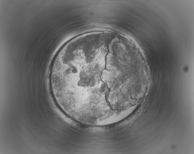 X0000116831235201001291636