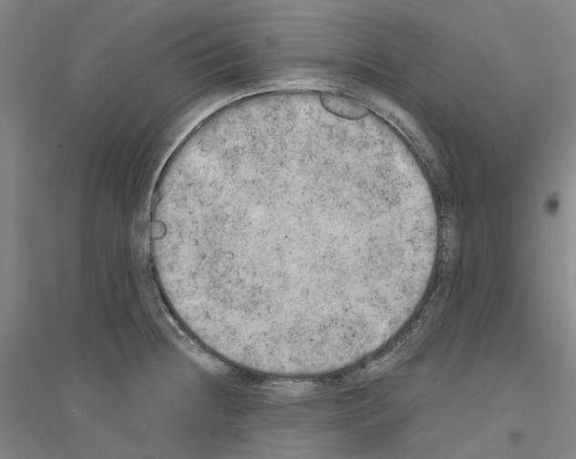 X0000116831236201001291636