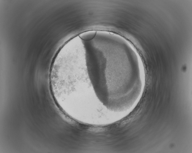 X0000116831237201001291636