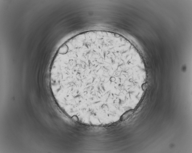 X0000116831238201001291636