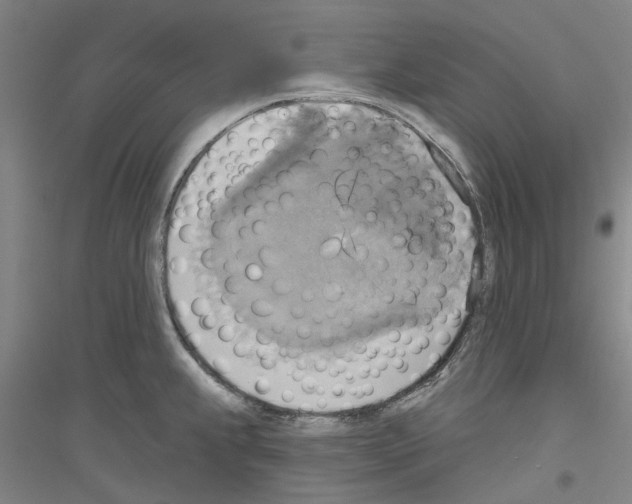 X0000116831239201001291636