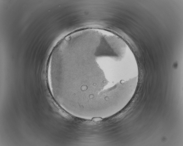 X0000116831240201001291636