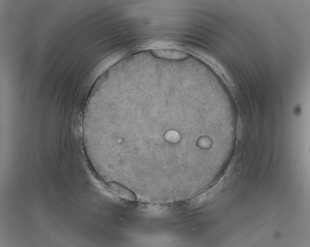 X0000116831241201001291636