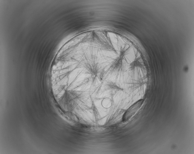 X0000116831242201001291636