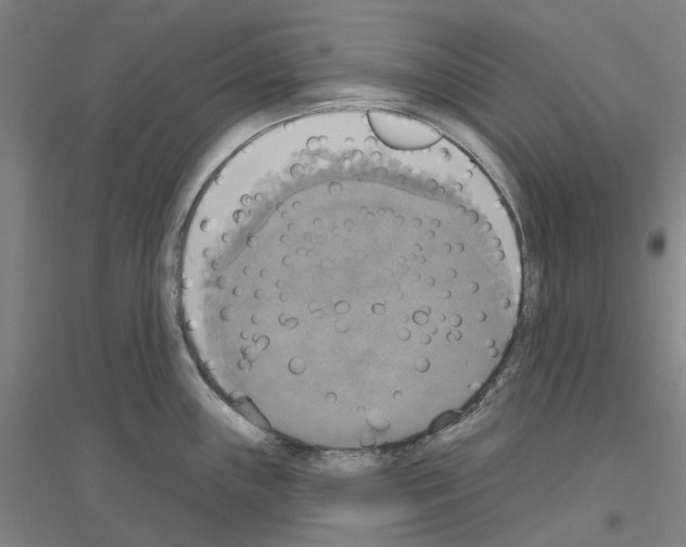 X0000116831243201001291636