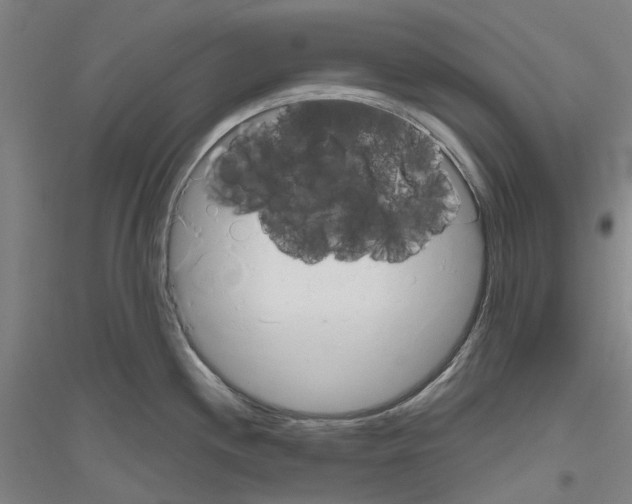 X0000116831244201001291636