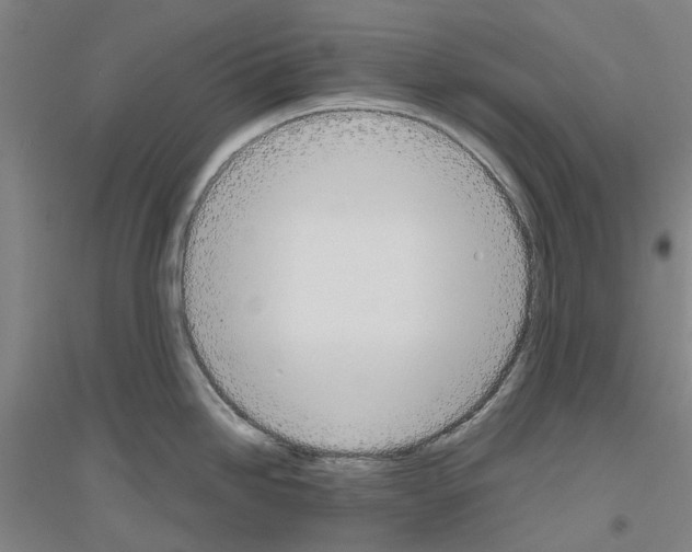 X0000116831246201001291636