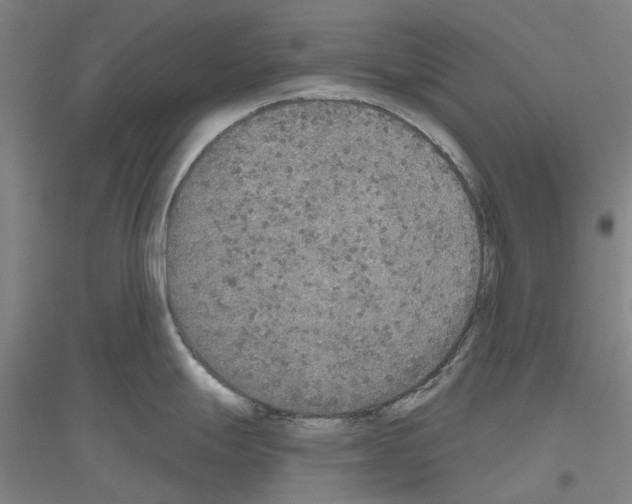 X0000116831247201001291636