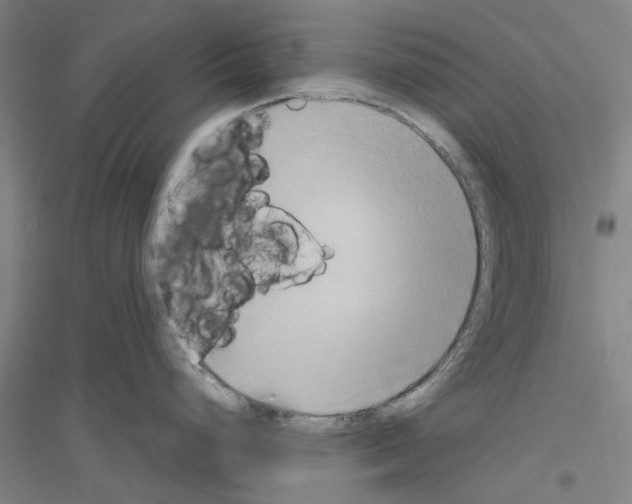 X0000116831248201001291636