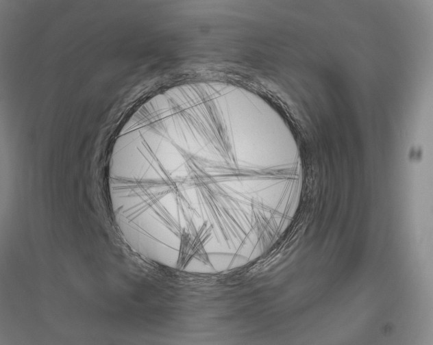 X0000116831249201001291636