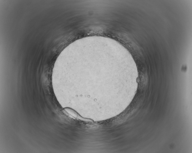 X0000116831250201001291636