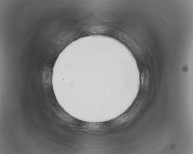 X0000116831251201001291636