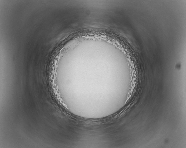 X0000116831253201001291636