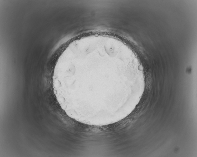 X0000116831255201001291636