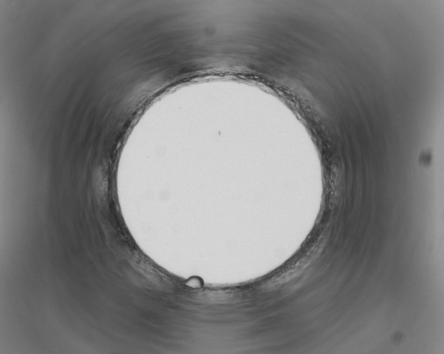 X0000116831257201001291636