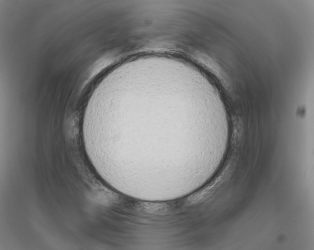 X0000116831258201001291636