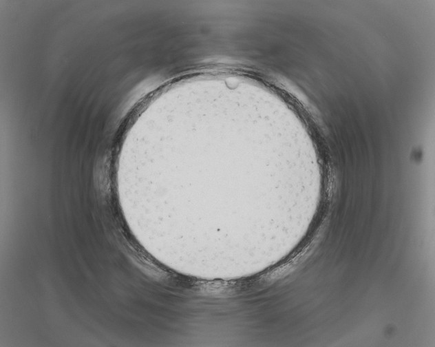 X0000116831259201001291636